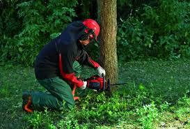 Motosserras / Eletrosserras